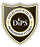 DIPS - Delhi Institute of Professional Studies